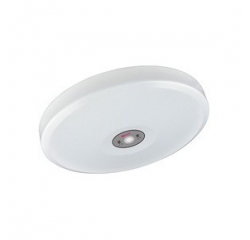 直边防火面罩吸顶灯