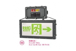 防水/防爆型集电集控标志灯（双面）