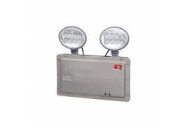 自电集控IP65防水型双头灯